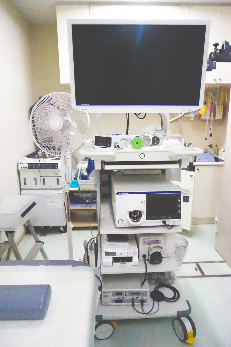 【内視鏡検査装置】